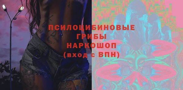 шишки Аркадак
