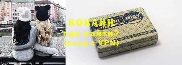 шишки Аркадак