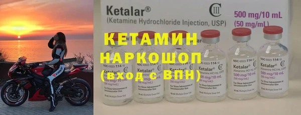 шишки Аркадак