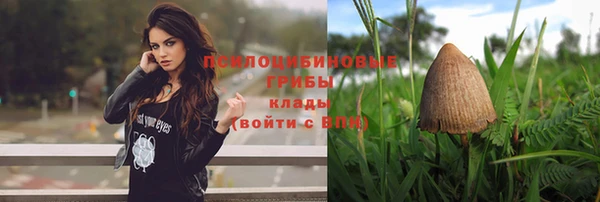 шишки Аркадак