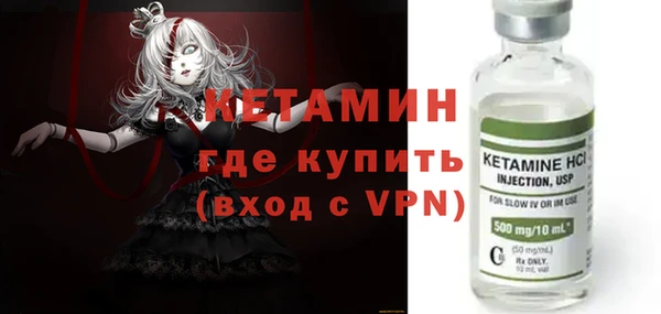 шишки Аркадак
