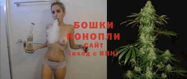 шишки Аркадак