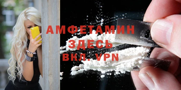 шишки Аркадак