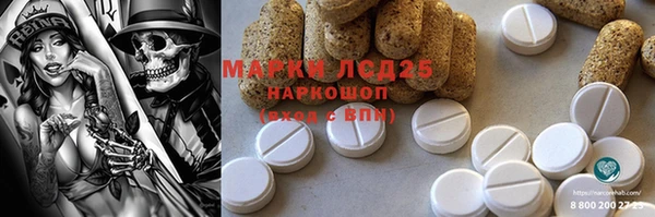 шишки Аркадак