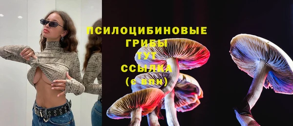 jwh Арсеньев